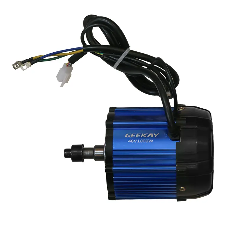 1000 watt motor for electric bike hot sale