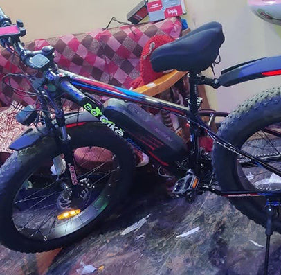 Customer review for Electric Cycle