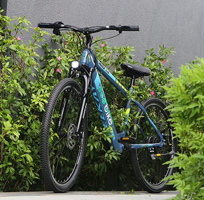 Customer review for Electric Cycle