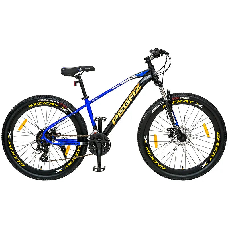 29t discount cycle price