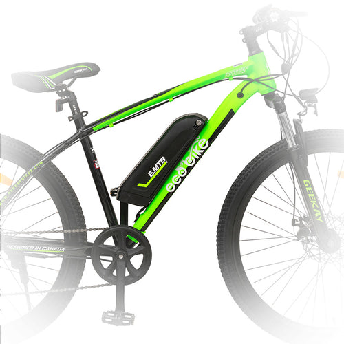 Eco Bike Pro Frameset