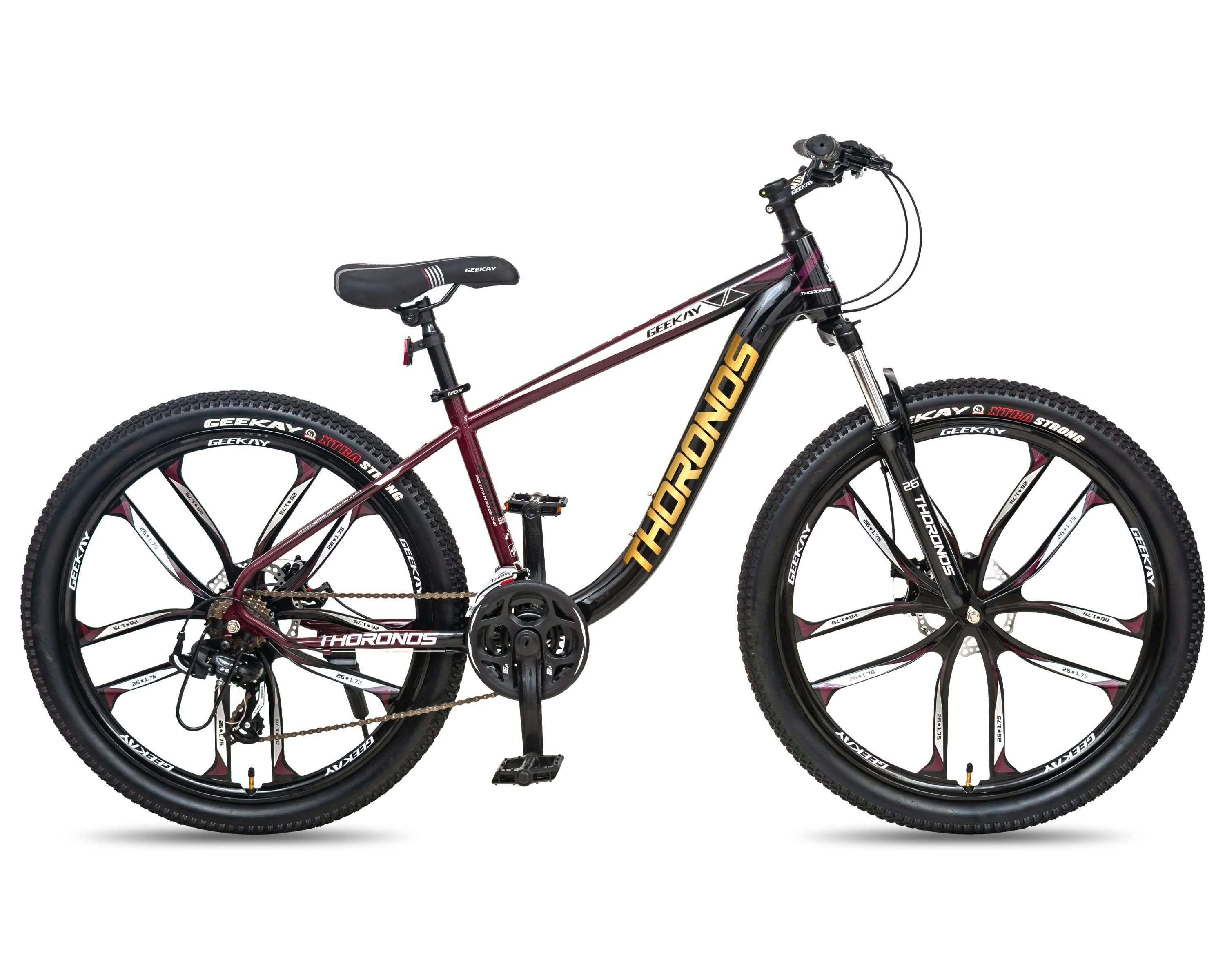 GIANT 「ジャイアント」 XTC NRS2 2003年モデル マウンテン