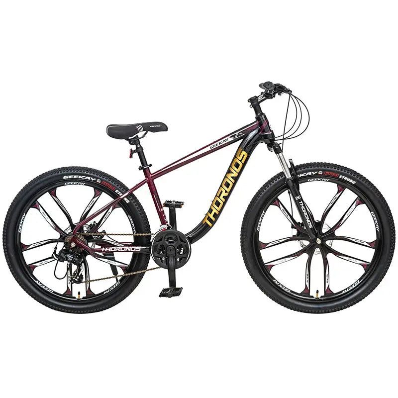 Alloy wheel fat discount bike