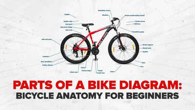 Parts of a Bike Diagram: Bicycle Anatomy for Beginners