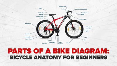 Parts of a Bike Diagram: Bicycle Anatomy for Beginners