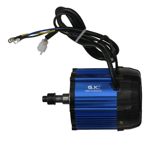 48V 1000W Motor