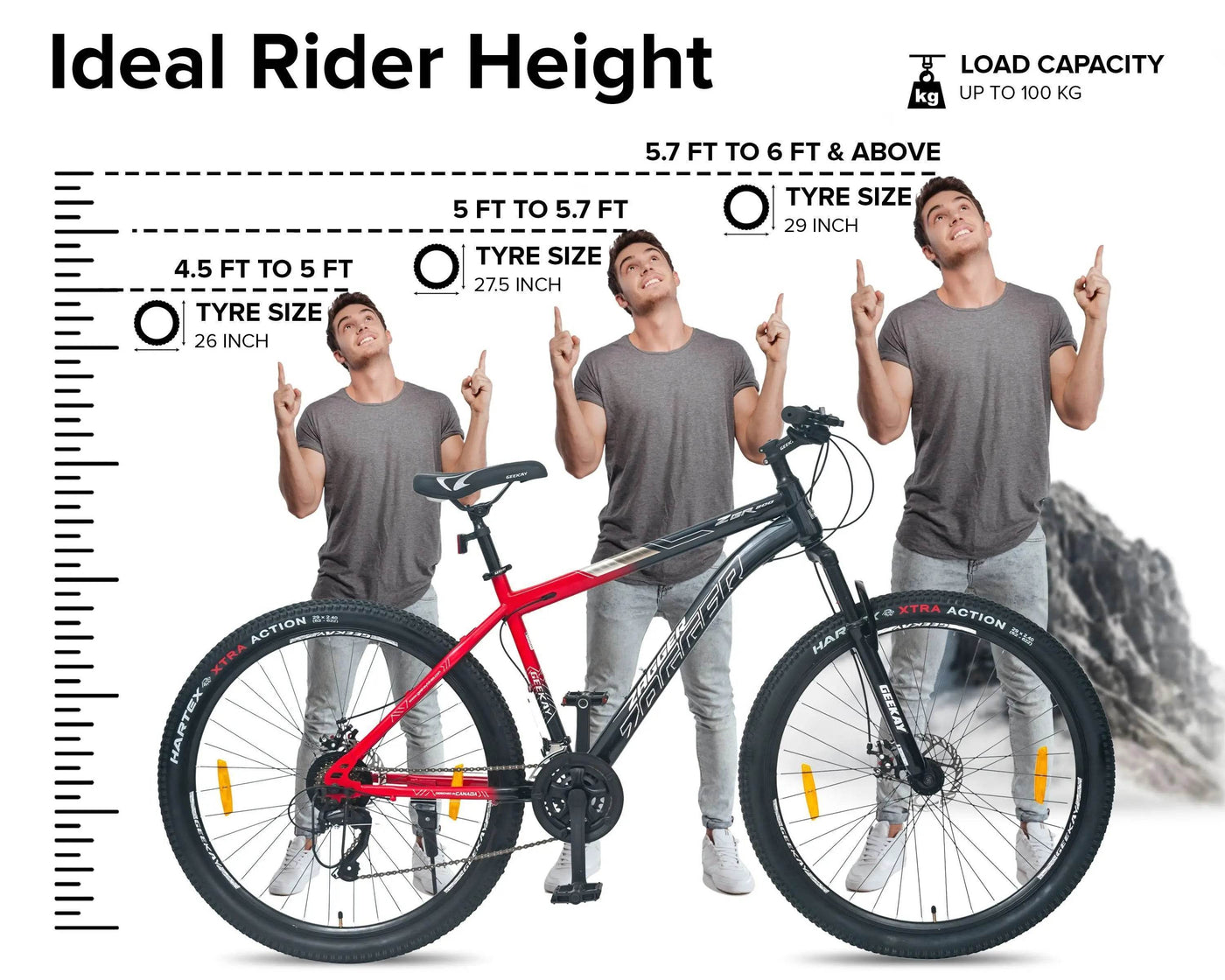 "ZAGGER MULTI-SPEED 29T - Geekay Bikes"