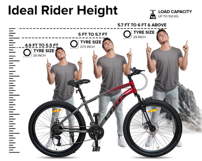 "LAUX MULTI-SPEED 29T - Geekay Bikes"