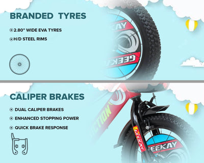 "ADDICTION 16T - Geekay Bikes"