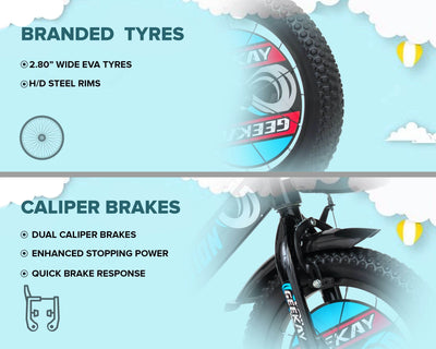 "ADDICTION 16T - Geekay Bikes"