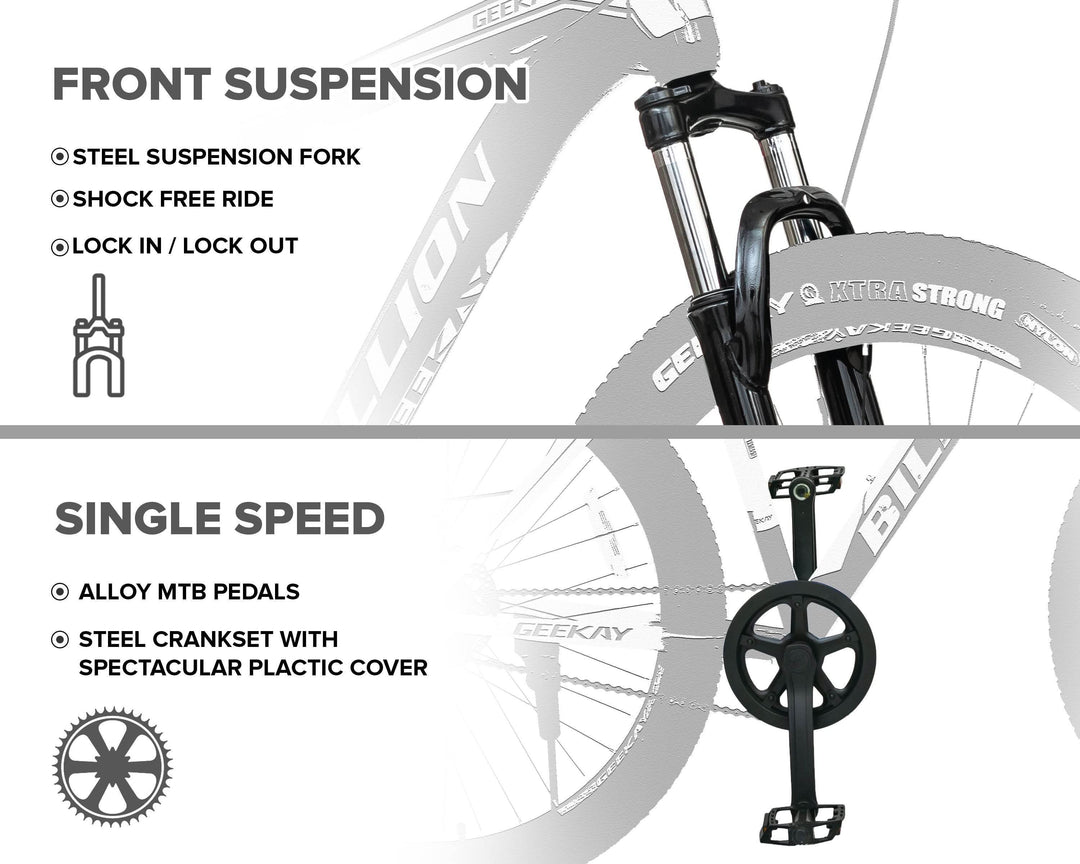 Best Bicycle Spring Cycle Under 5000 Buy Billion Single Speed