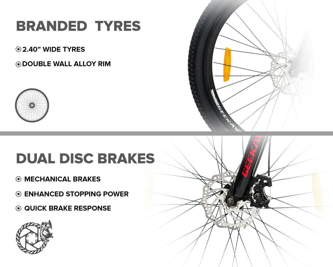 Buy Billion Single Speed Bicycle Online at Best Price