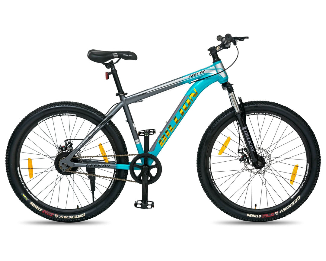 Fat Tire Bicycle Fat Lad At The Back Worth Buy Elite Bicycle (With