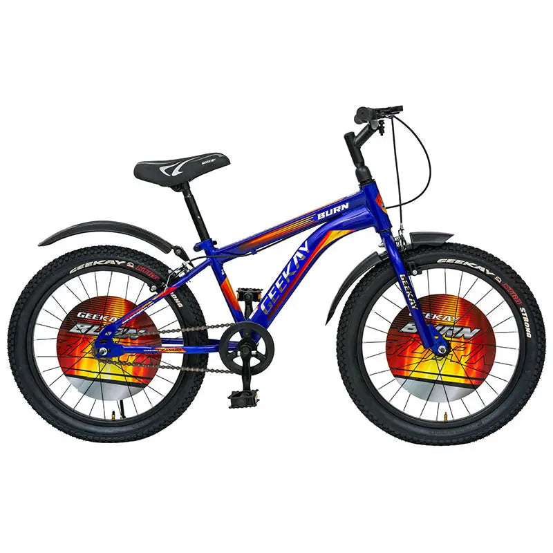 Buy Burn Rigid Fork 20T Bicycle Online