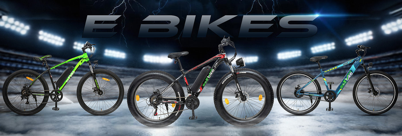 Electric Bicycle