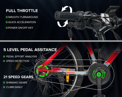 ECO BIKE LIT+ MULTI-SPEED 27.5T