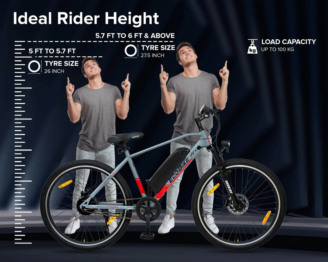 Buy Eco Bike Lit Single Speed 26T Bicycle Online