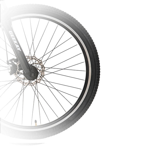 Eco Bike Lit Wheel