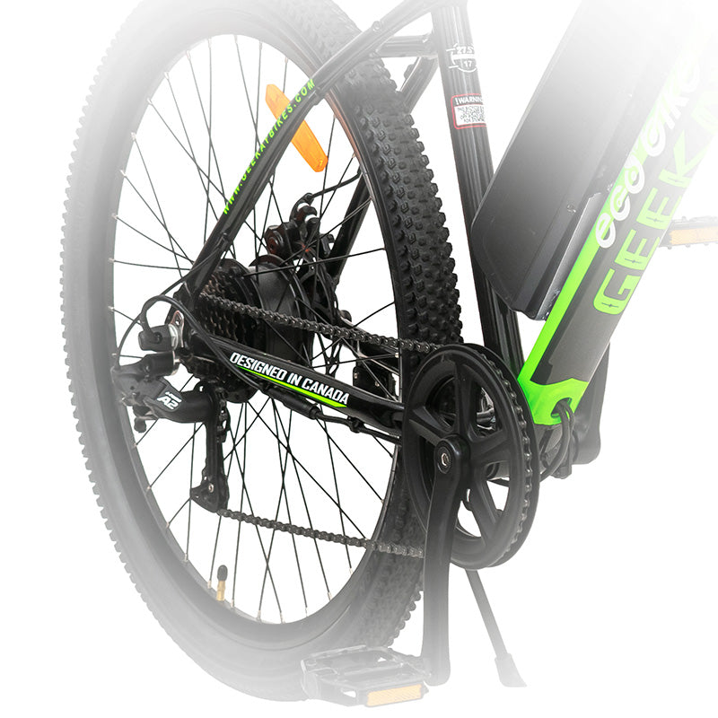 Eco bike pro discount plus