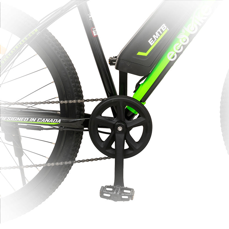 Eco bike discount pro plus price