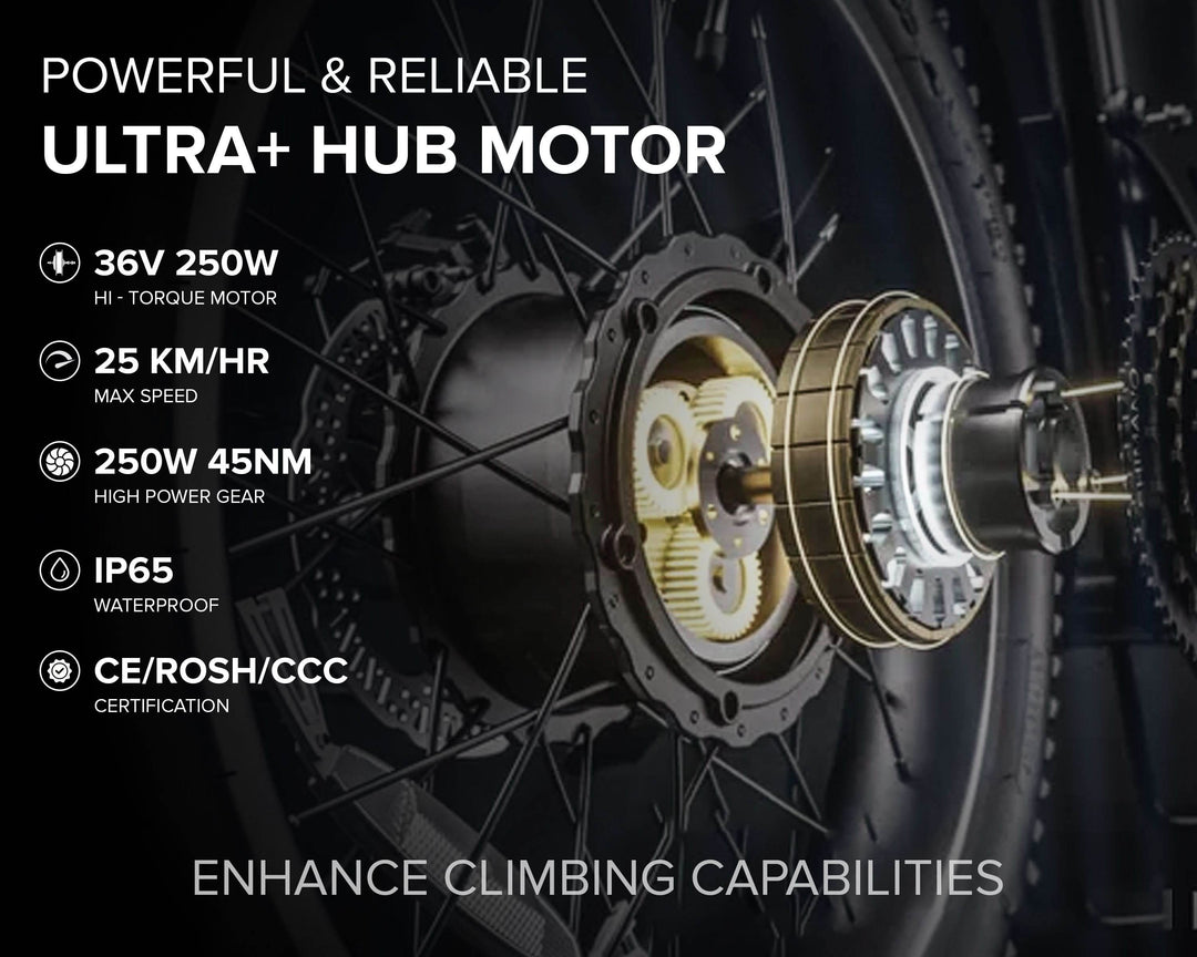 Buy Eco Bike Pro+ 26T Bicycle Online Geekay Bikes