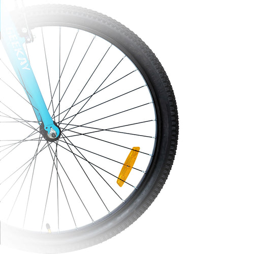 Eco Bike Zing Wheel