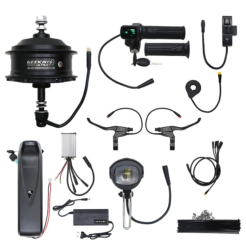 Hub motor kit with battery price 2025