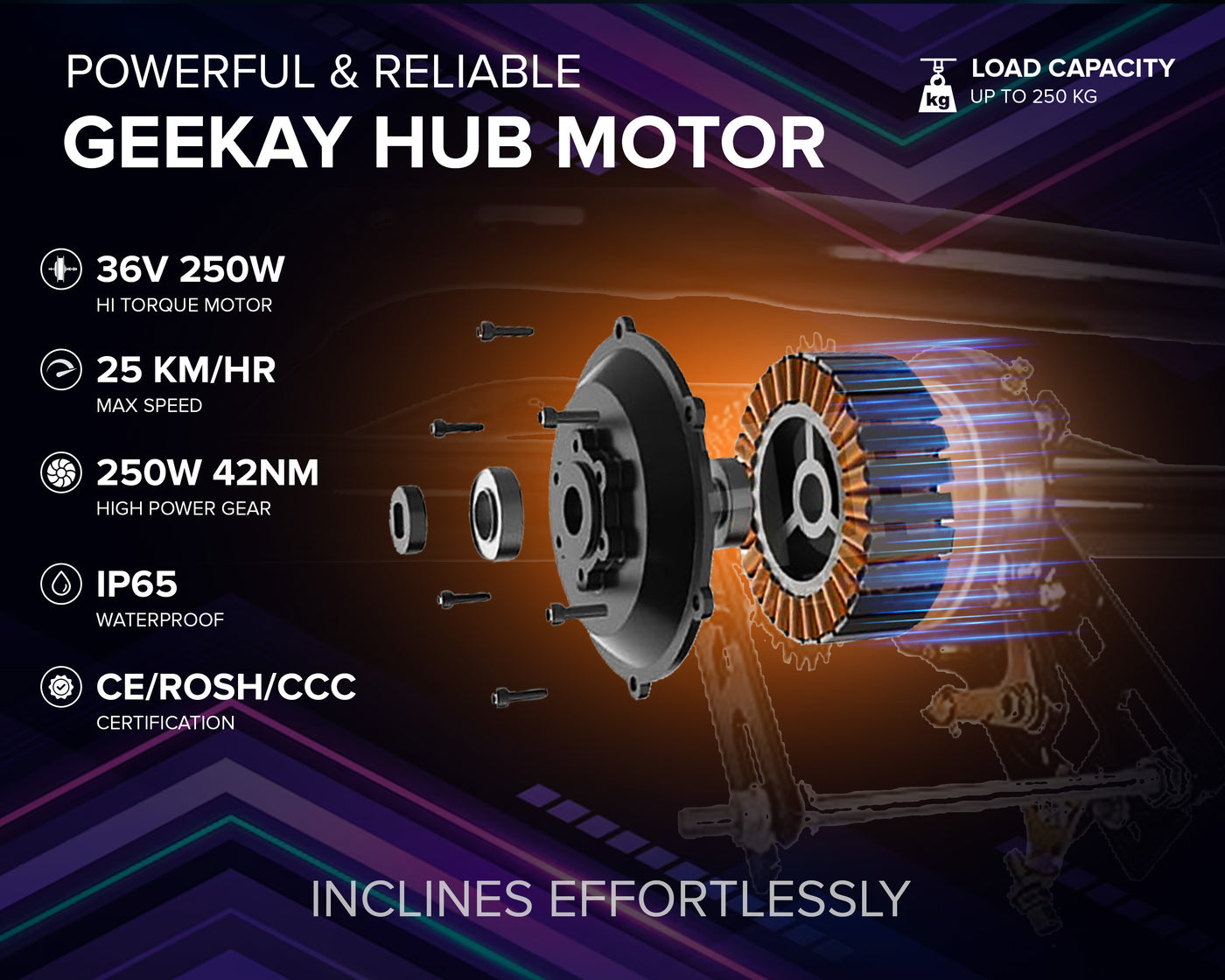 Geekay Electric Handicap Tricycle 36V 250Watt BLDC Hub Motor Kit