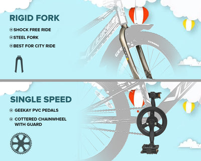 ZIBIKE 20T