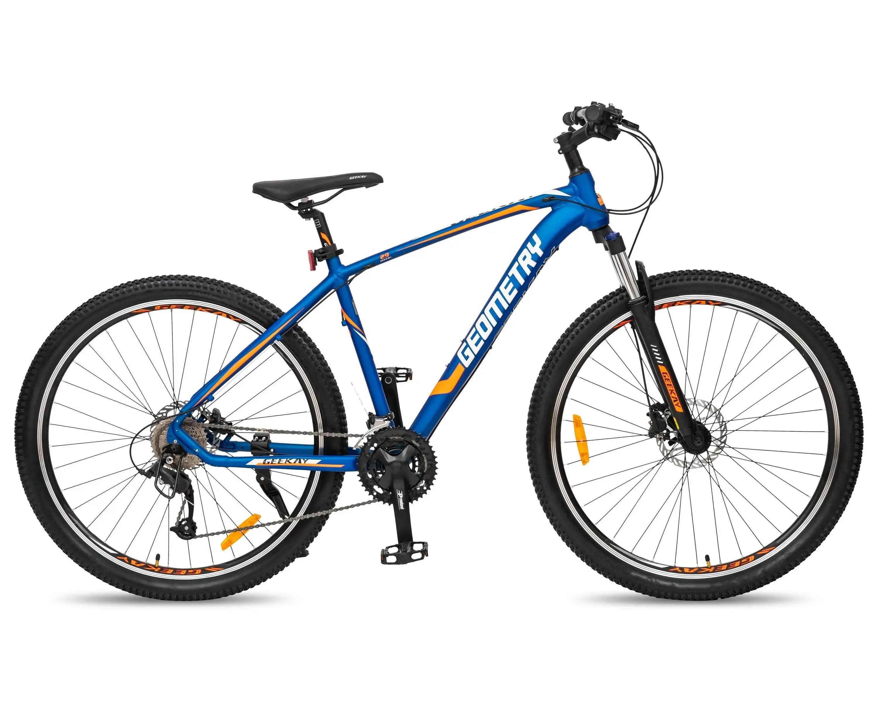 Mountain bicycle with dual disc brakes