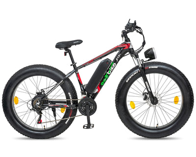 Red and Black Battery Cycle