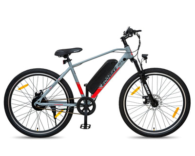 Silver and Red Cycle with Gear