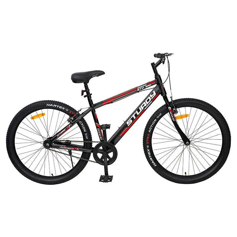 Buy Sturdy 24T Bicycle Online at Best Price